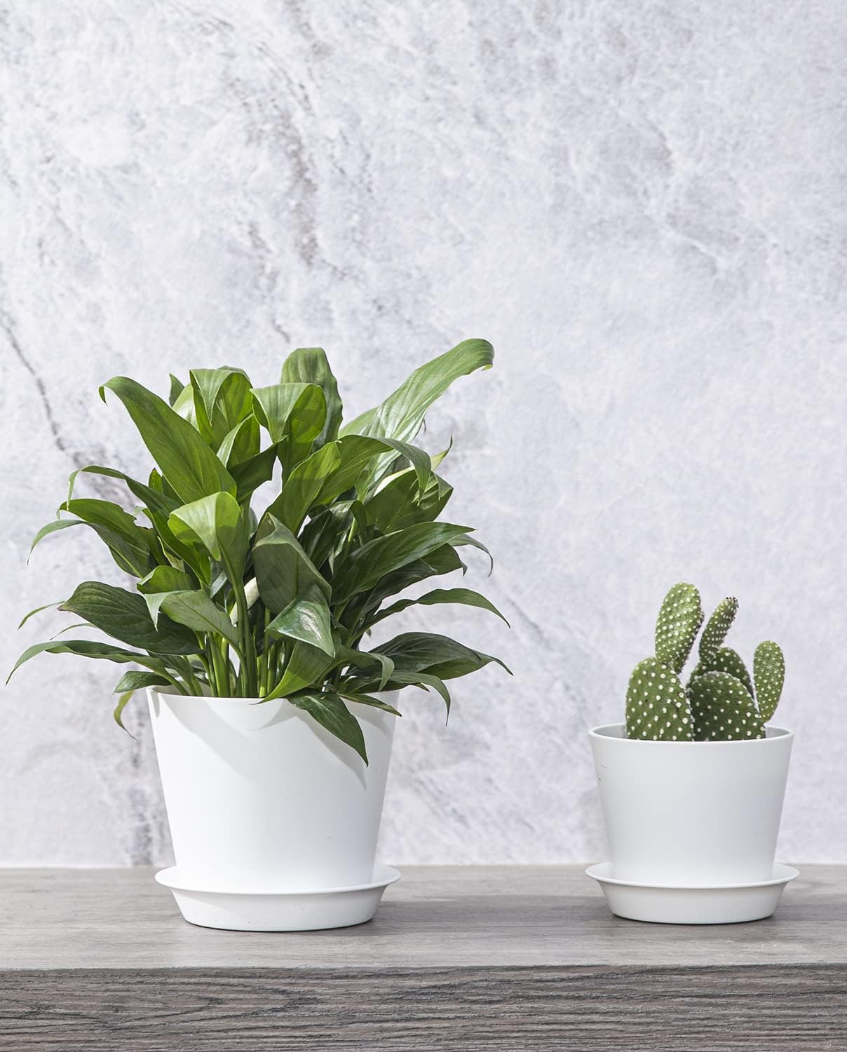 LaDoVita 7 Pack Plastic Plant Pots Indoor, 7/6.5/6/5.5/5/4.5/4 Inch Modern Planters for Plants, Flower Pots with Drainage Holes and Trays, White : Patio, Lawn & Garden
