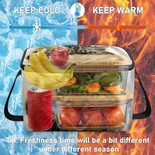 Miniatura 6 de Angry Cat - Bolsa de almuerzo aislada para mujer, reutilizable, bolsa cuadrada de comida para adultos y hombres, lonchera más fresca para trabajo,