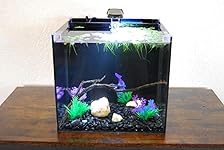 Review Image by Step1979 Step1979