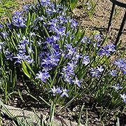 �`�I�m�h�N�T