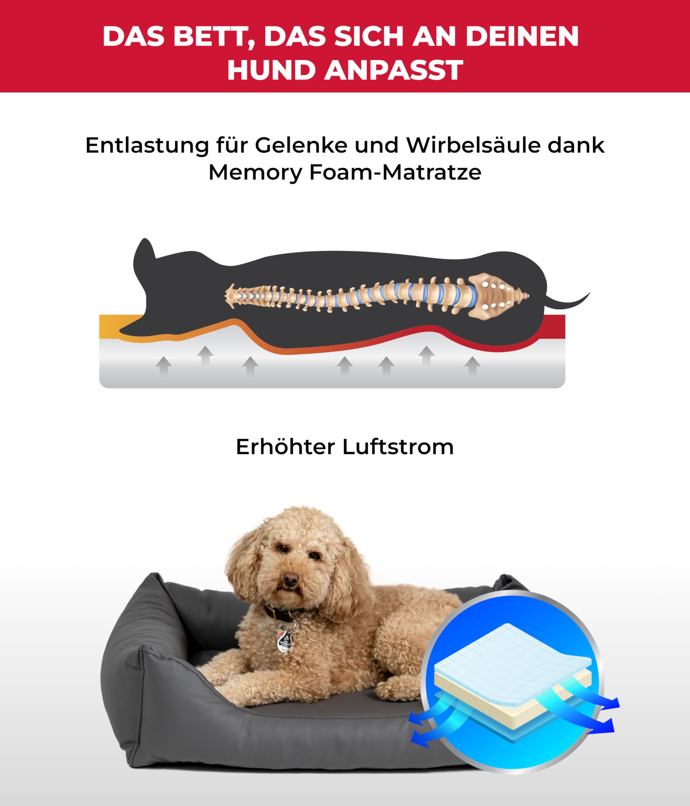 Kuschelbett Deluxe Kunstleder M (70x90 cm) – Orthopädisches Hundebett, Memory Foam & Anti-Rutsch – Waschbar – Anthrazit, Made in DE
