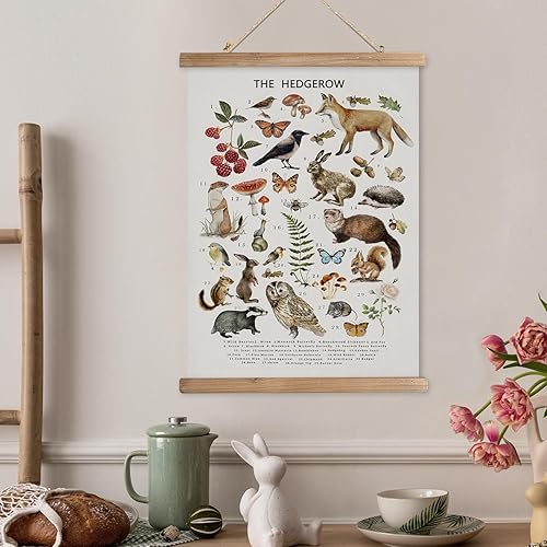 Miniatura 6 de XIAOAIKA British Hedgerow - Póster educativo de vida silvestre, cuadro ilustrado de naturaleza con marco de madera, arte de pared de animales y