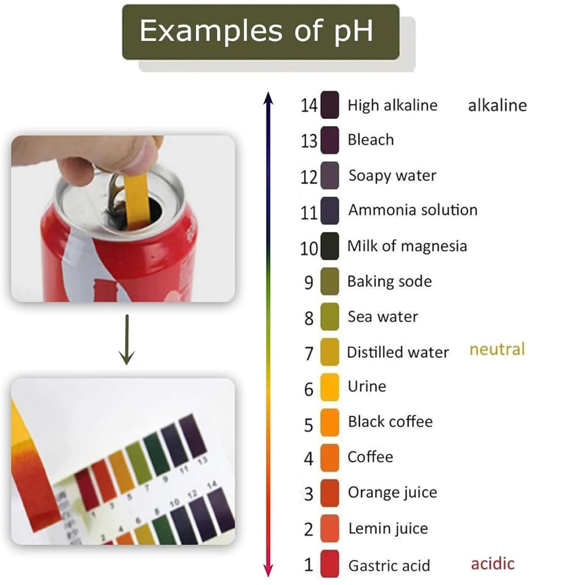 Viraaji PH Paper - Full pH 1-14, PH testing strips, Test Indicator Litmus Paper Water & Soil Testing Kit, litmus paper (Pack of 1, 80 Strips) - Image 4 thumbnail