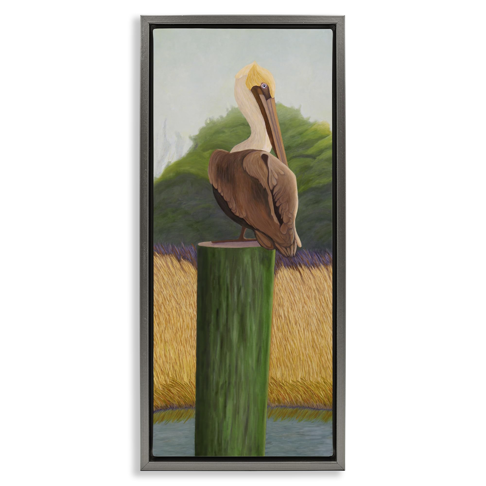 Stupell Industries 'Pelican with Blue Eyes', Floating Frame Canvas Art, Gray, 11 x 25 Inches, Easy to Hang and Sturdy, Made in USA, by Barbara Fallenbaum