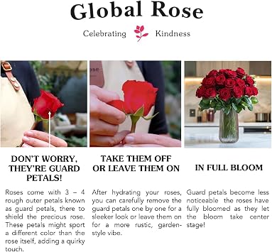 GlobalRose 12 Red Roses Bouquet - Responsibly Sourced Roses Fresh Flowers - Hand-Picked Flowers Fresh Bouquet forValentine's Day, Birthday & Special Occasions (1 Dozen)