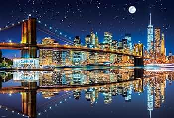 71MijsMeNiL._AC_UF350,