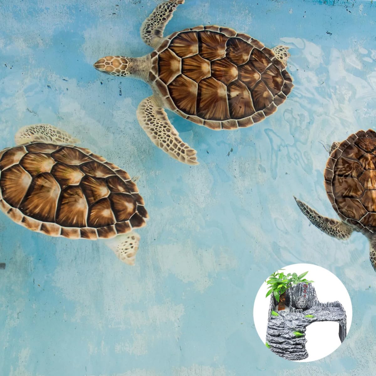 TOYANDONA Schildkröten Aquarium Habitat Kletterplattform Schwimmende Sonnenplattform aus Kunstharz für Reptilien Terrarium Zubehör