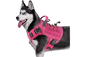 WINGOIN Cozy & Safe 10-15lb Dog Harness