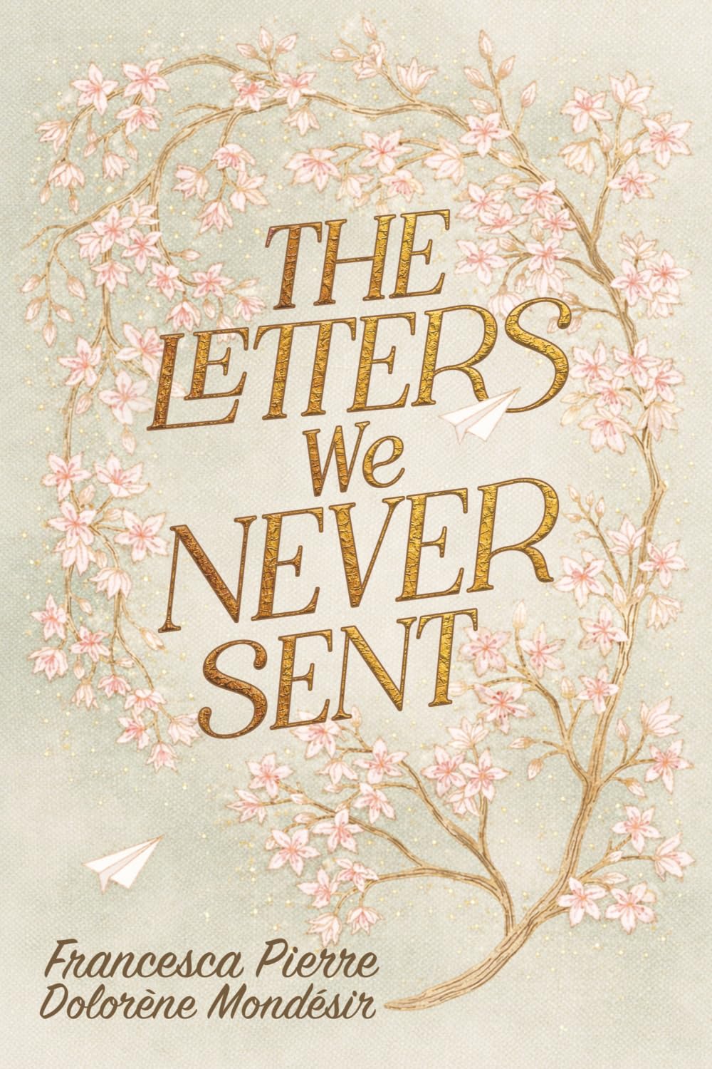 THE LETTERS WE NEVER SENT