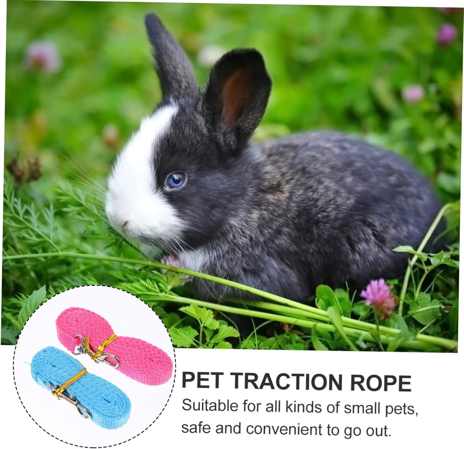 BESPORTBLE 12pcs and Leash for Pets Mesh Vest for Hamsters Guinea Pigs and Bunnies Comfortable and Fashionable Outdoor Gear Multiple Colors