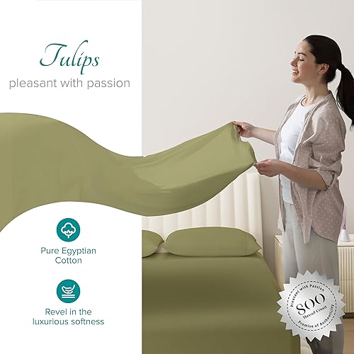 Vista 27 de Carressa Linen Juego de sábanas 100% de algodón egipcio, tamaño Queen, 6 piezas de 800 hilos de algodón egipcio, tamaño Queen, color blanco, suave