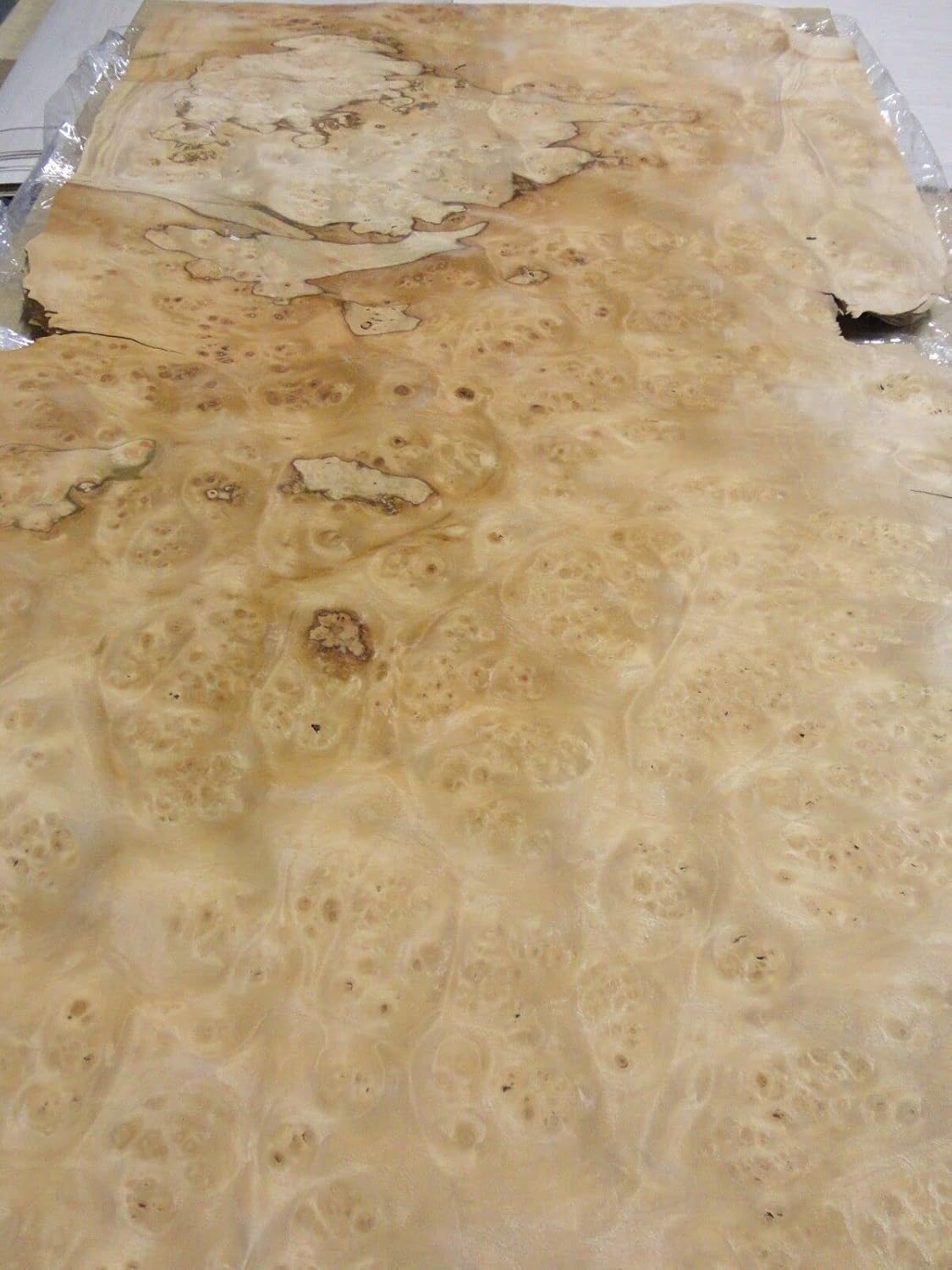 Pimento Pepperwood Burl Wood Veneer 14" x 20" raw Veneer no Backing 1/42" Thick