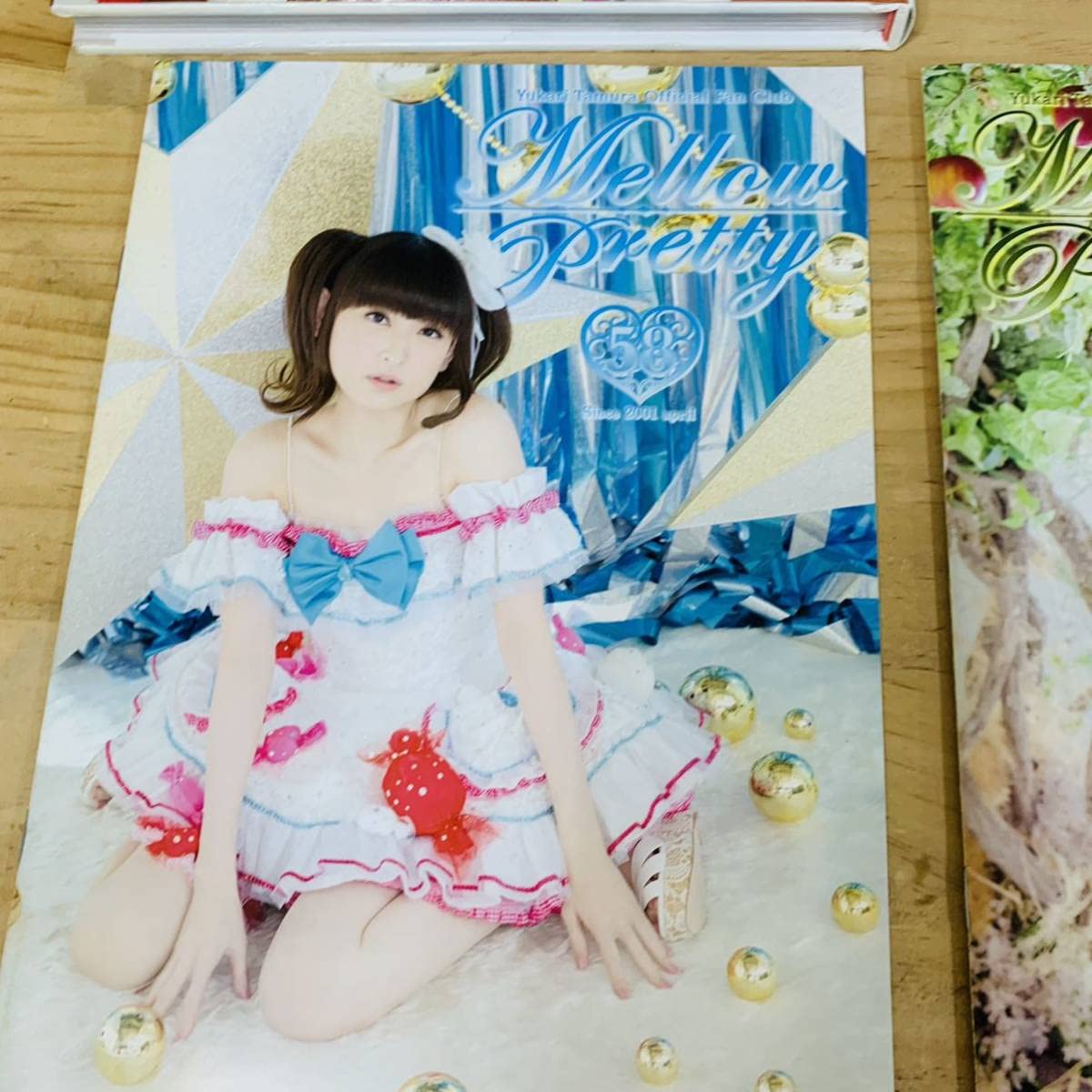 Amazon.co.jp: 1X20618-1 田村ゆかり写真集 ゆかりんご : おもちゃ