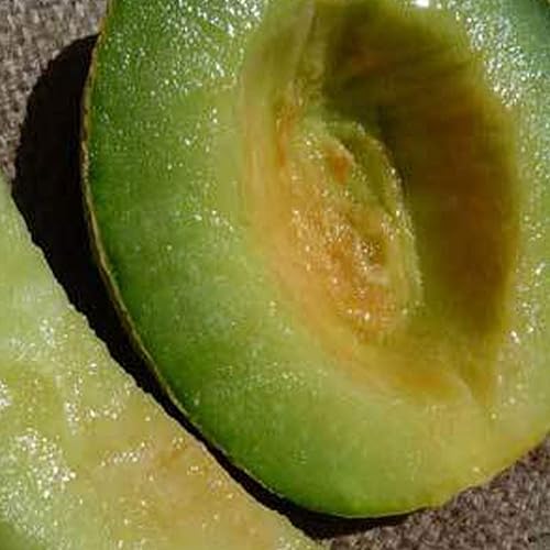 Melón orgánico Rocky Ford Green Flesh - 0.04 oz  30 Semillas - Semillas orgánicas, reliquia, polinizado abierto, sin OMG, semillas de jardinería
