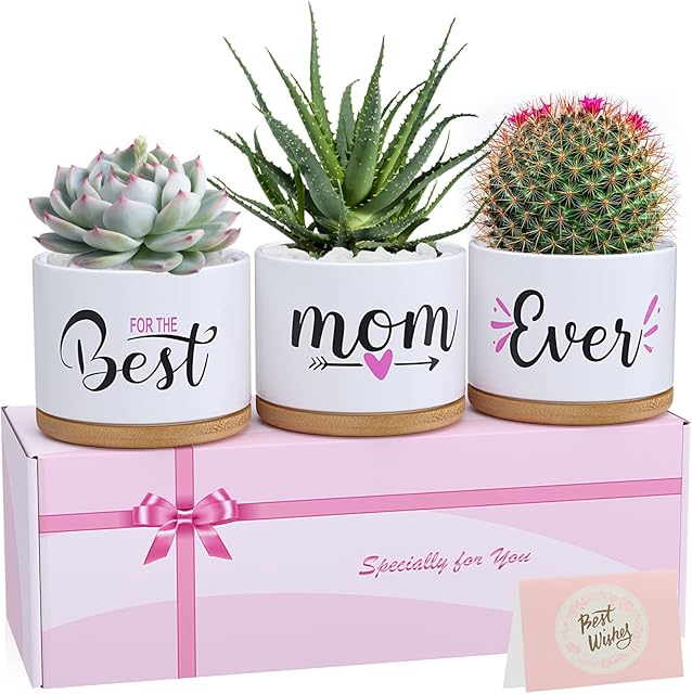 Gifts for Mum, Birthday Gifts for Mummy from Daughter Son Kids Baby, Unique Best Mum Ever Ceramic Succulent Plant Pots Indoor & Outdoor Planter Gifts for Any Occasion, Arrive Beautifully Gift Boxed