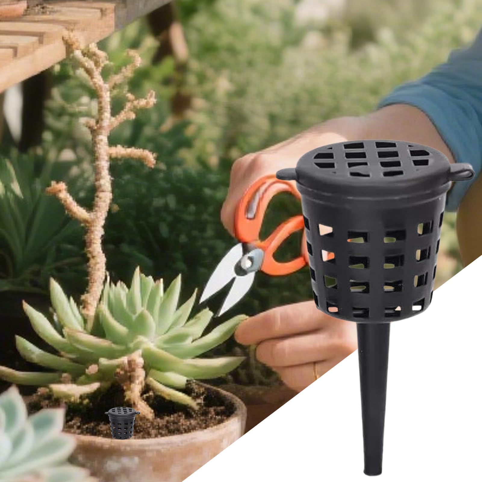 Cestas de abono para plantas con tapa | 10 unidades portátil lenta con tapa | Cesta fertilizante bonsái, para jardinería, casa, patio, jardín, patio, flores, albahaca