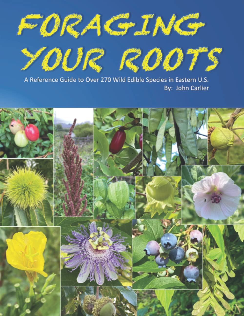 Foraging Your Roots