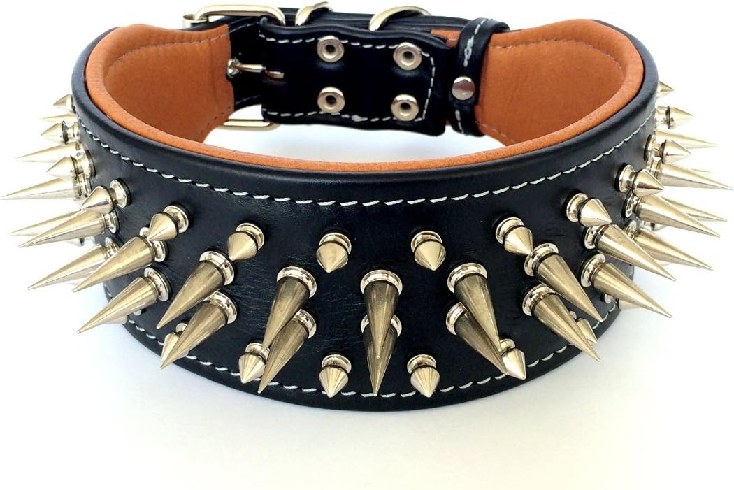 Dog collar with spikes outside Clearance