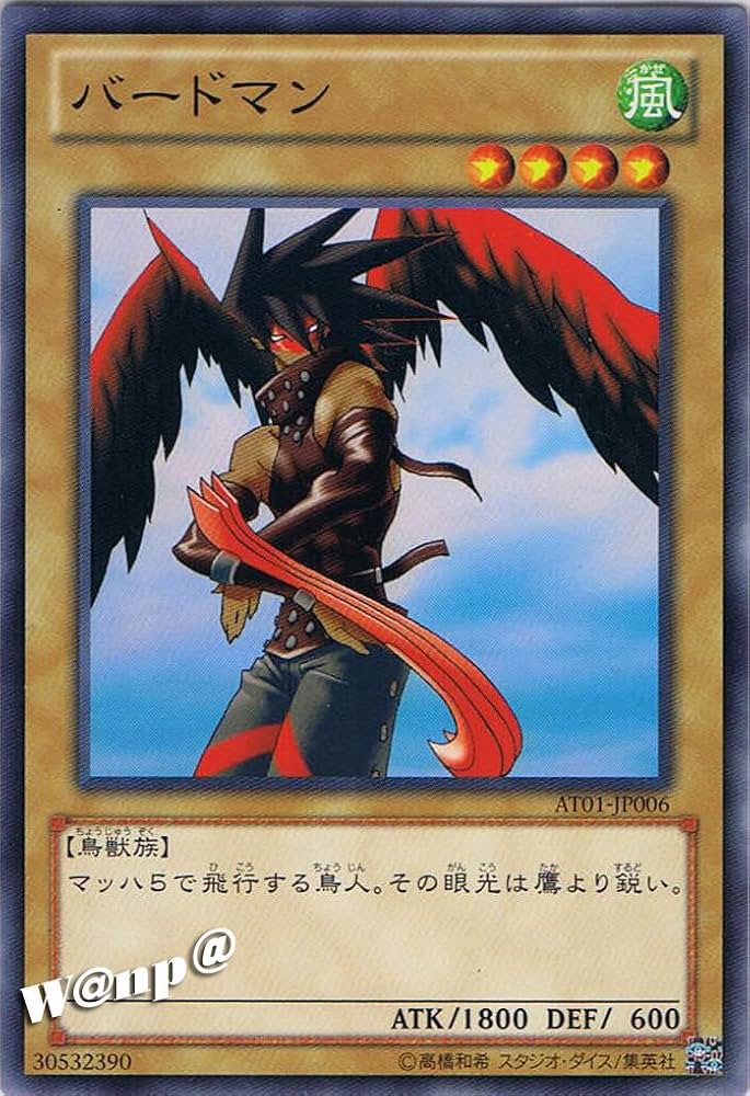 遊戯王 トーナメントパック 2013 Amazon.co.jp: 遊戯王カード 墓守の巫女/ アドバンスド