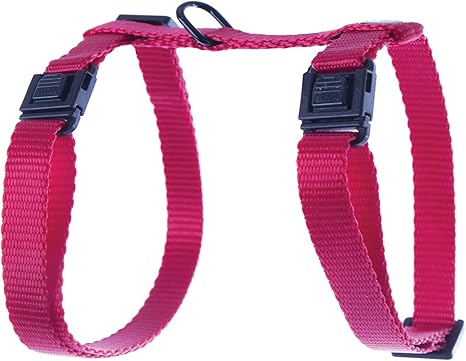 Martin Sellier Harnais Chat Ou Petit Chien En Nylon Haute Qualite Reglable 35 A 50cm Rouge Amazon Fr Animalerie Martin Sellier Harnais Chat Ou Petit Chien En Nylon Haute Qualite Reglable 35 A 50cm Rouge Amazon Fr Animalerie