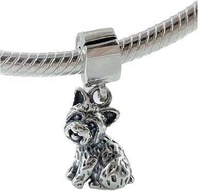 Charm Bracelets or Necklaces 