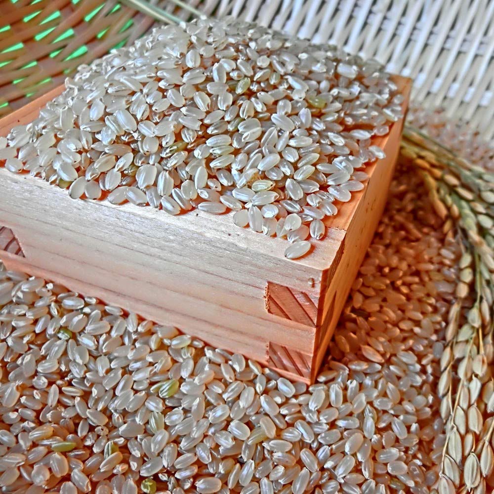 Amazon.co.jp: 令和7年 山形県産 ササニシキ 玄米 10kg×3袋 : 食品