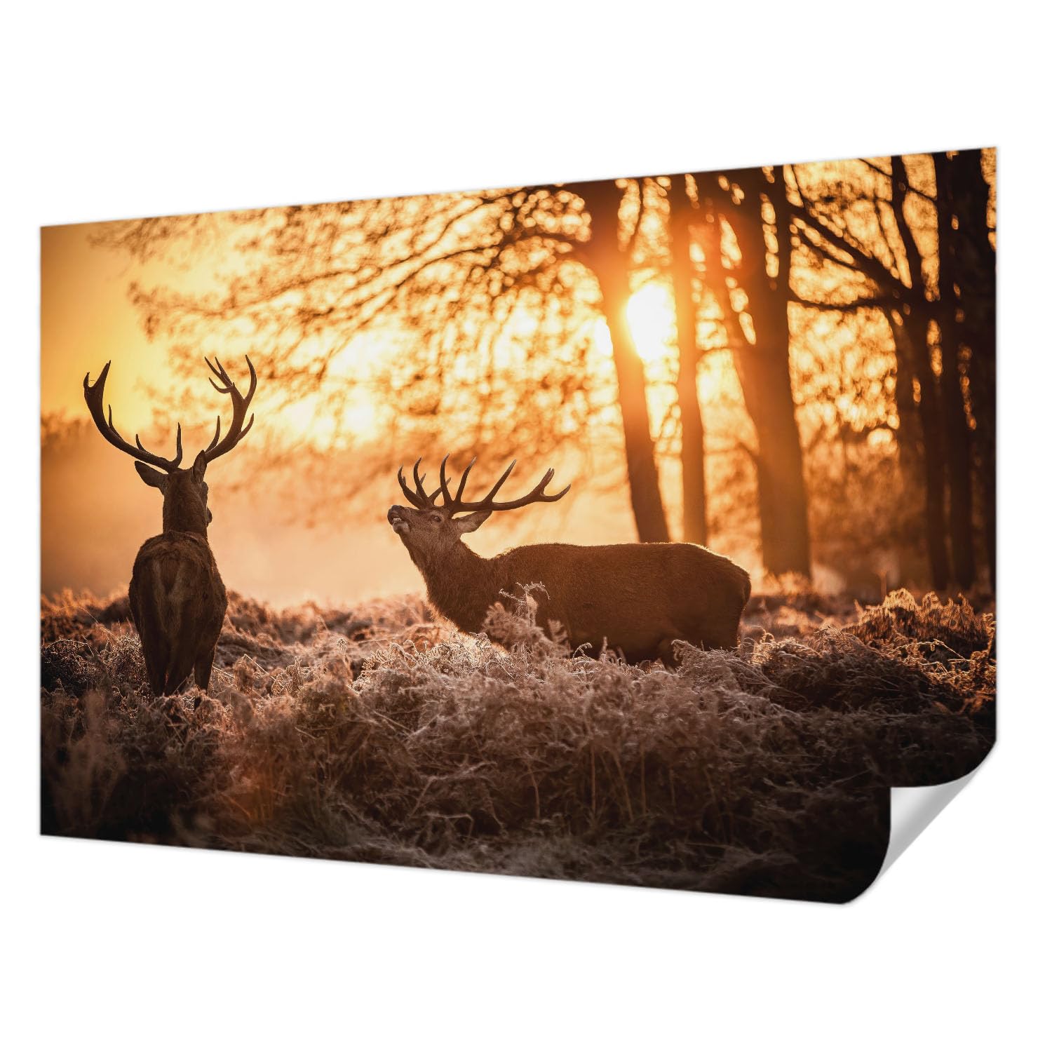 Papel tapiz fotográfico de alta calidad decorativo Tulup de 152x104 cm de ciervos