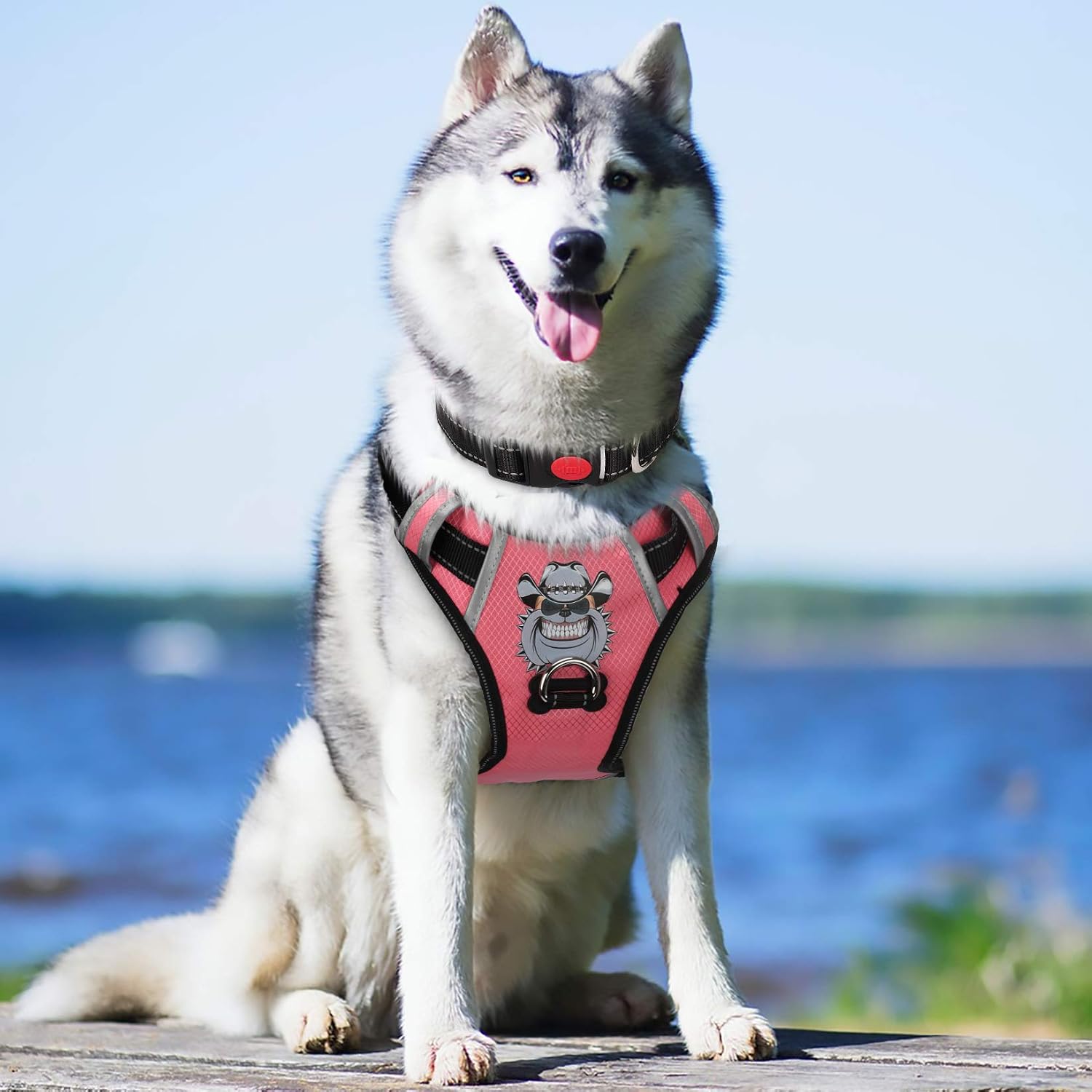 TIANYAO Dog Harness No-Pull Dog Vest Set Reflective Adjustable Oxford Material Pet Harness for Medium Large Dogs with Leash and Collar (Large(Chest:25-35"), Pink)