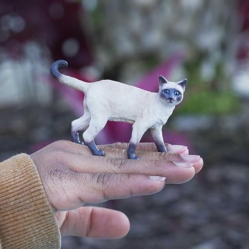Miniatura 2 de Safari Ltd. Figura de gato siamés  Figura detallada de plástico de 3.25 pulgadas  Divertido juguete educativo para niños, niñas y niños a partir de