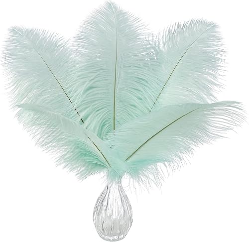 Ballinger Plumas de avestruz verde aguamarina, 24 plumas artesanales de 8 a 10 pulgadas a granel para centros de mesa de fiesta de boda,