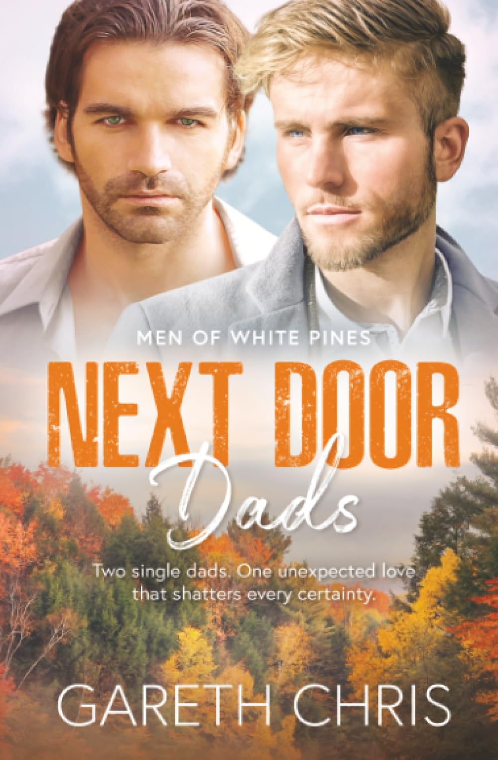Next Door Dads: 1 (The Men of White Pines)