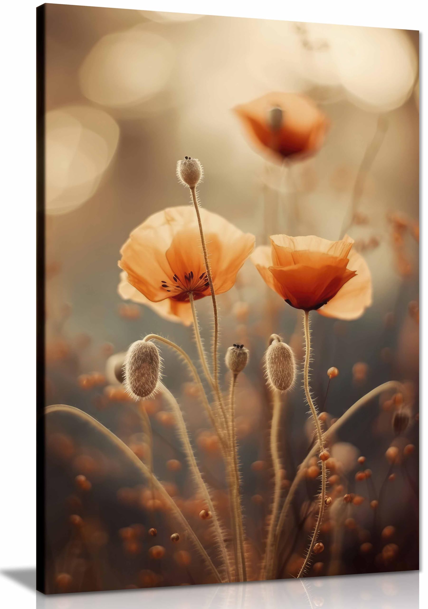 Poppy In Morning Sun Framed Canvas Print, Pictures for Home Walls, Bedroom, Living Room & Bathroom Decor 91x61cm (36x24in)