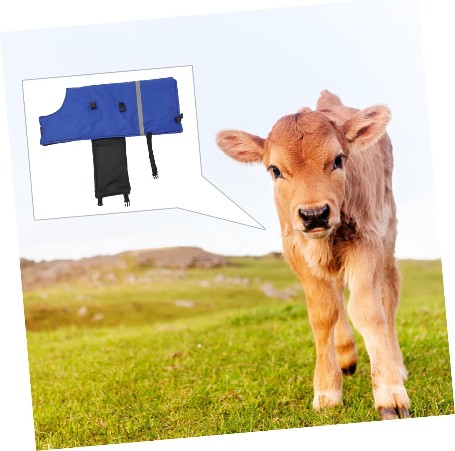 Calf Warm Vest Windproof Coat for Winter Thickened Belly Protection for Newborn Calves Easy to Wear with Fixed Buckle for Outdoor Activities