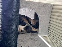 Review Image by JBird