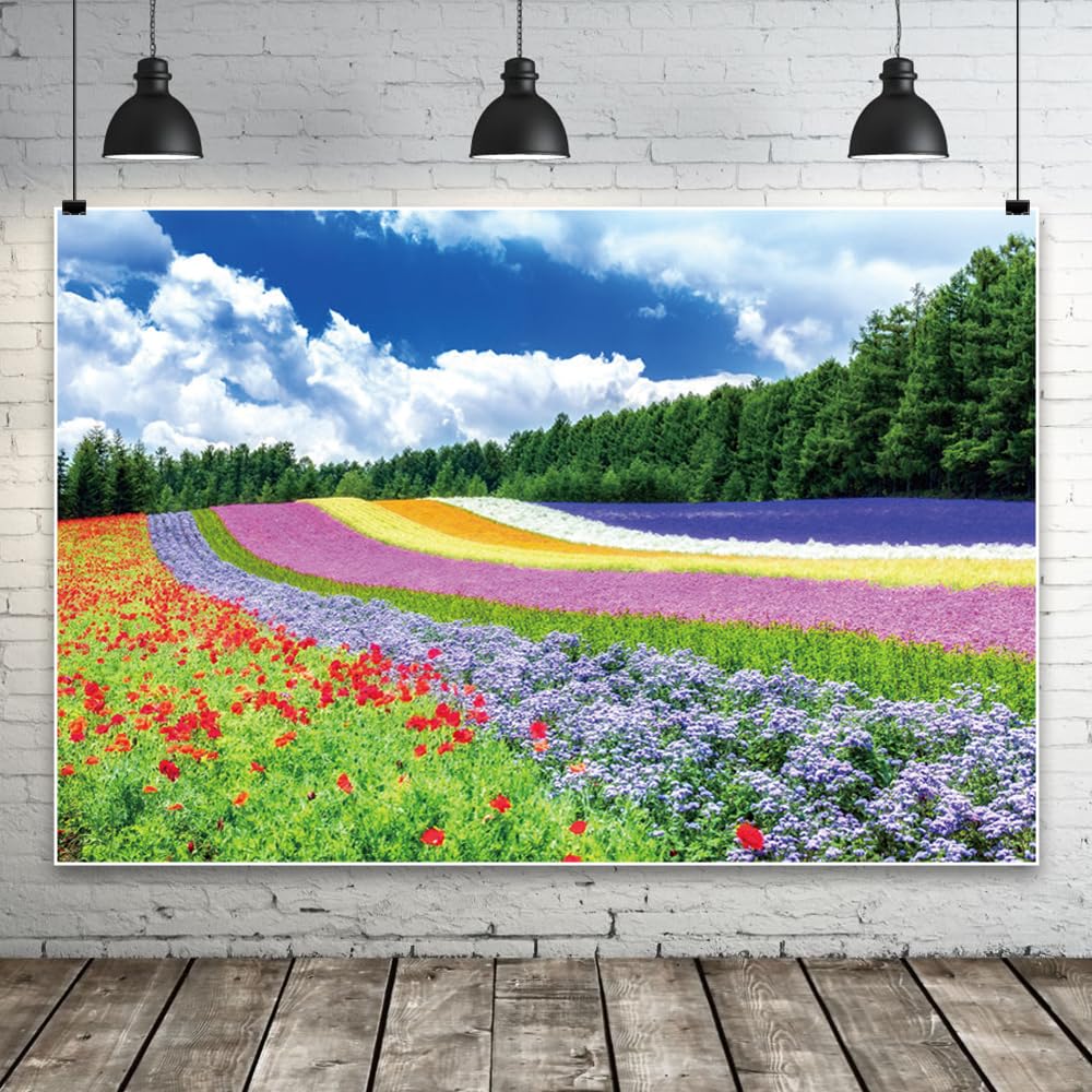 3,6 x 3 m wiosenne kwiaty kolorowe tło czerwone fioletowe dzikie kwiaty pola niebieskie niebo białe chmury zielony las drzewa fotografia tło ślub urodziny przyjęcie dekoracja