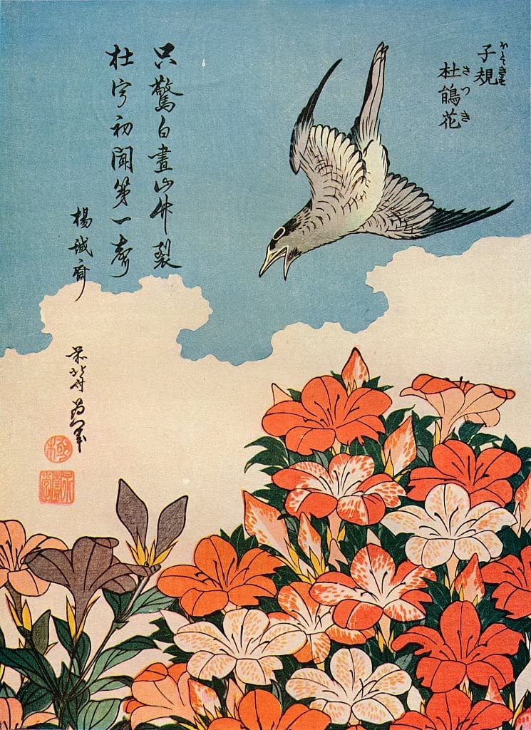 Hototogisu Satsuki Ward lienzo Hokusai cuadro decorativo de pared 5