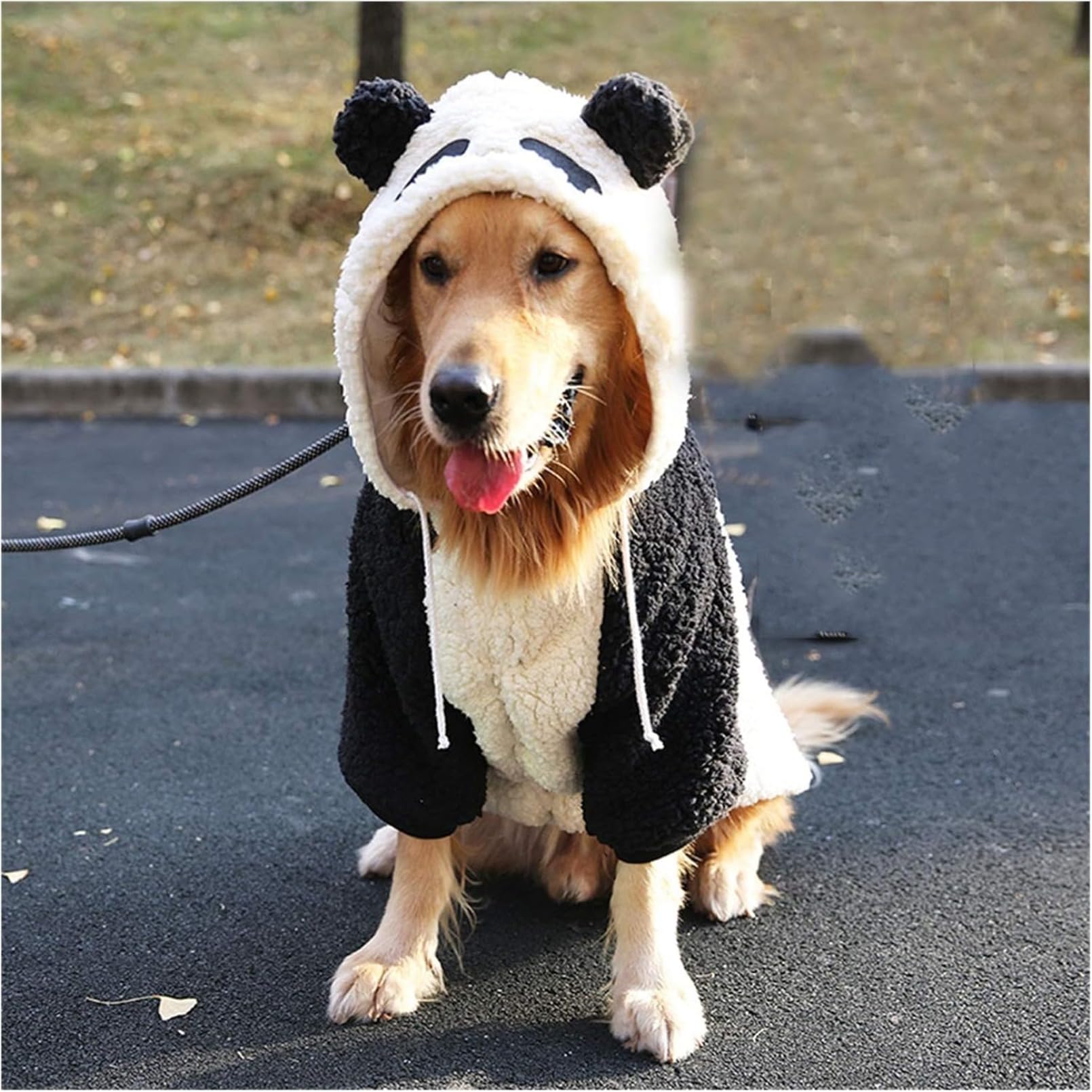 ⑬確認用ページ　冬生地　犬服　ハンドメイド Amazon | ファッション 犬服中型と大型犬サモエドゴールデンレトリバー