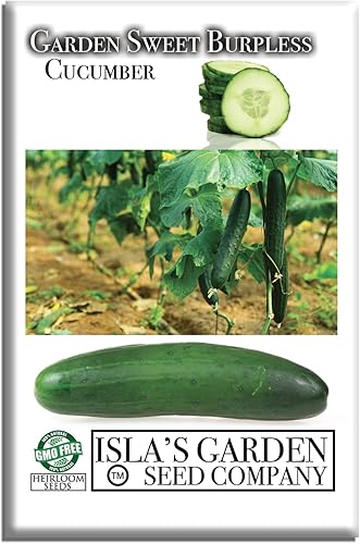 Garden Sweet - Semillas de pepino sin eructos para plantar (Cucumis sativus) – Más de 50 semillas sin OMG y reliquias de Isla's Garden Seeds,