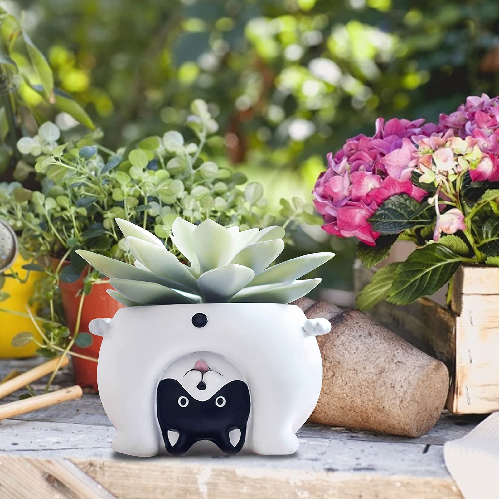 Vaso Per Pi Grasse A Forma Di Dinosauro – Ceramica Smaltata Blu Per Cactus E Fiori