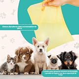 Ver la foto 3