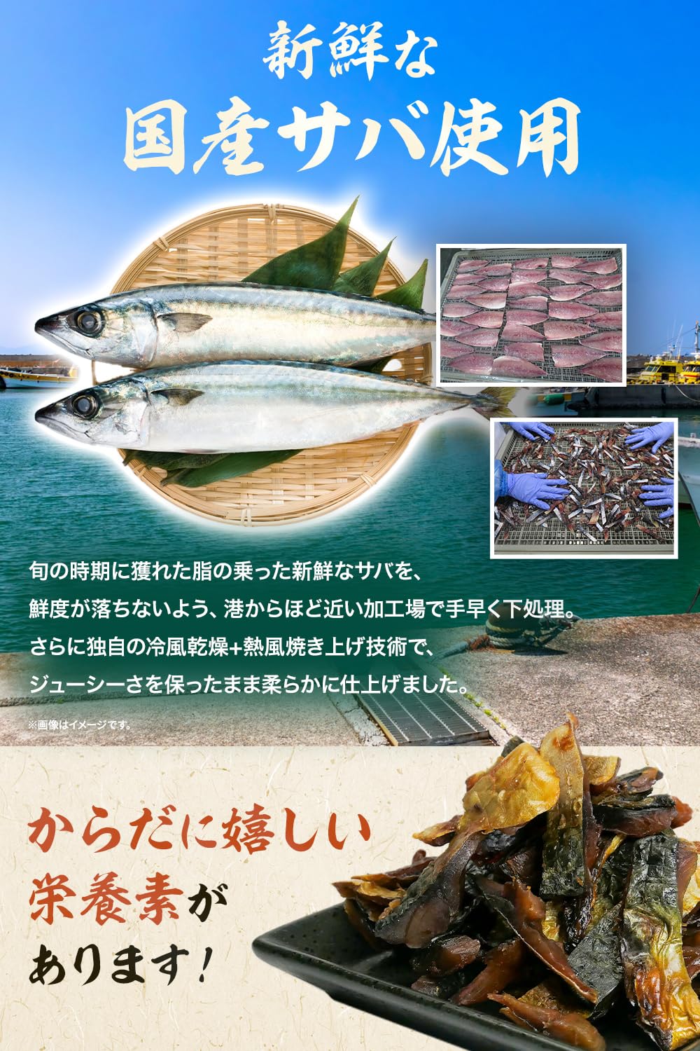 Amazon.co.jp: 【管理栄養士推薦】 炙り鯖ジャーキー おつまみ 国産