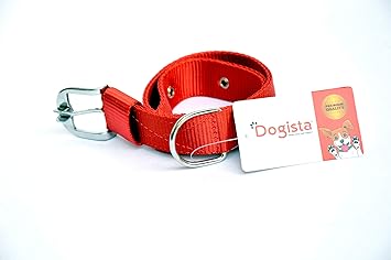 Dogista pet products Nylon Dog Collar 1 inch (Color May Vary) Large