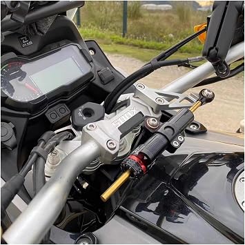 Steering Damper Handle Bar Stabilizer Carbon Fiber Stabilizer,Compatible with Macbor Montana XR5 Lexmoto 500X Kove 500X(Silver)