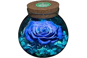 Eternal Rose with Colorful Mood Light