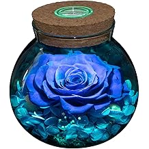Preserved Real Roses with Colorful Mood Light Wishing Bottle, Eternal Rose，Never Withered Flowers, Table Decor,Christmas Anniversary Valentine's, Blue 4.3inch, 1pcs