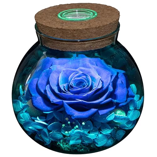 roliys Preserved Real Roses with Colorful Mood Light Wishing Bottle, Eternal Rose,Never Withered Flowers, Table Decor,Christmas Anniversary Valentine's, Blue 4.3inch, 1pcs - Blue