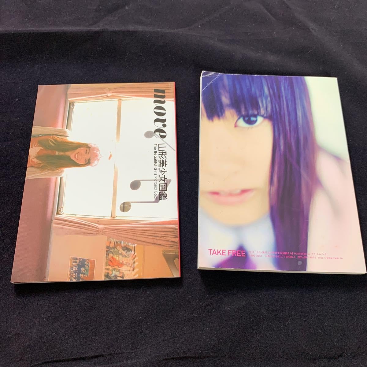 Amazon.co.jp: 230707現状品山形美少女図鑑 創刊号 2.0 2冊セット