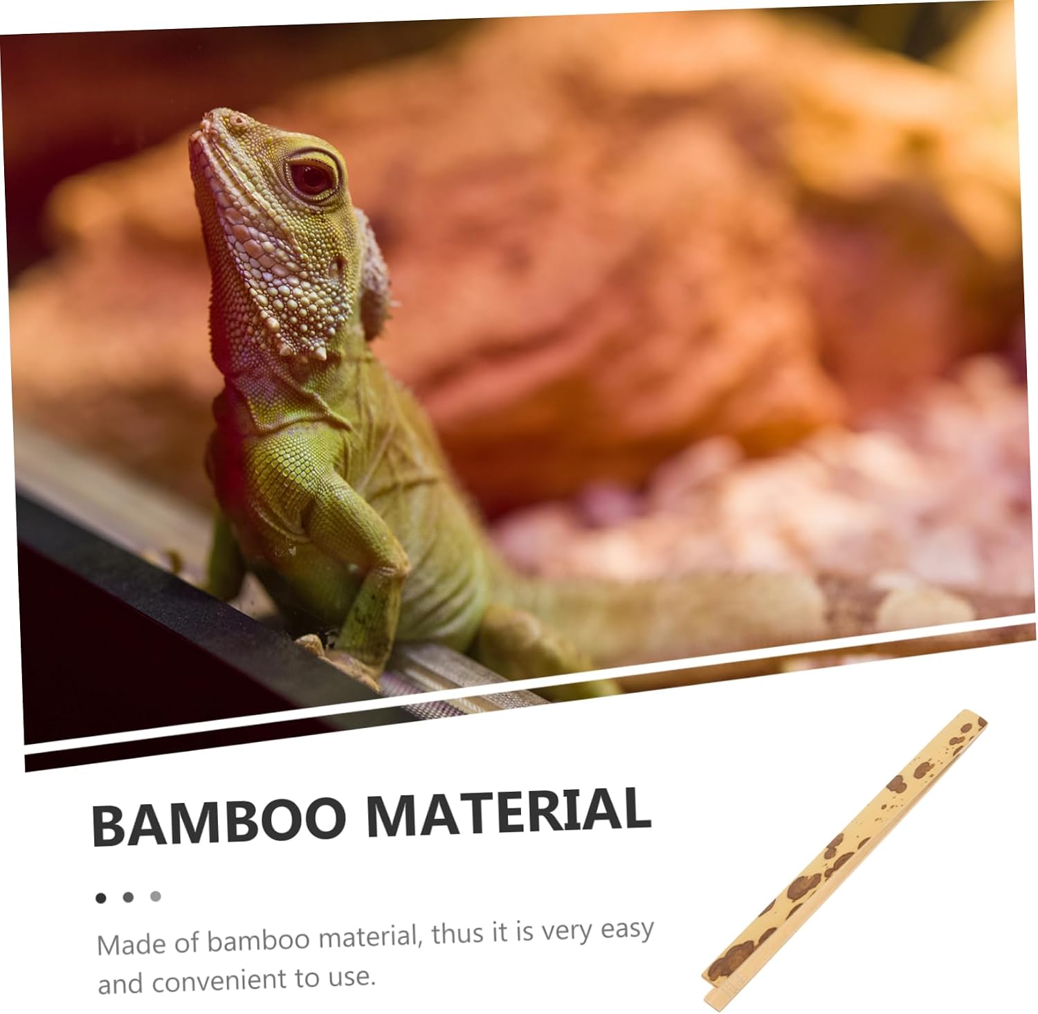 ORFOFE Reptile Pet Supplies Long Reptile Feeding Tweezers Bamboo Scoop for Lizards Turtles