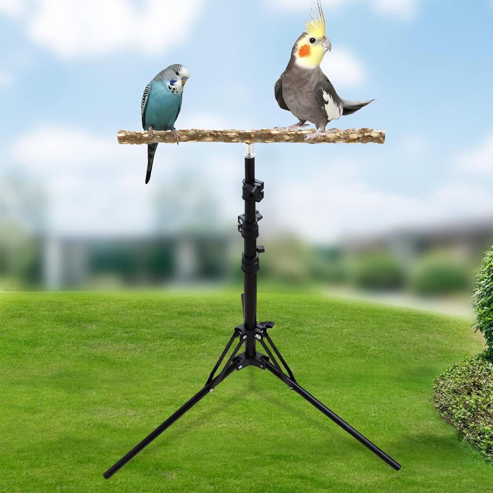 40 – 157 cm Soporte para loros para pájaros, percha de papagayos, altura ajustable, asiento de entrenamiento para pájaros para descansar y jugar