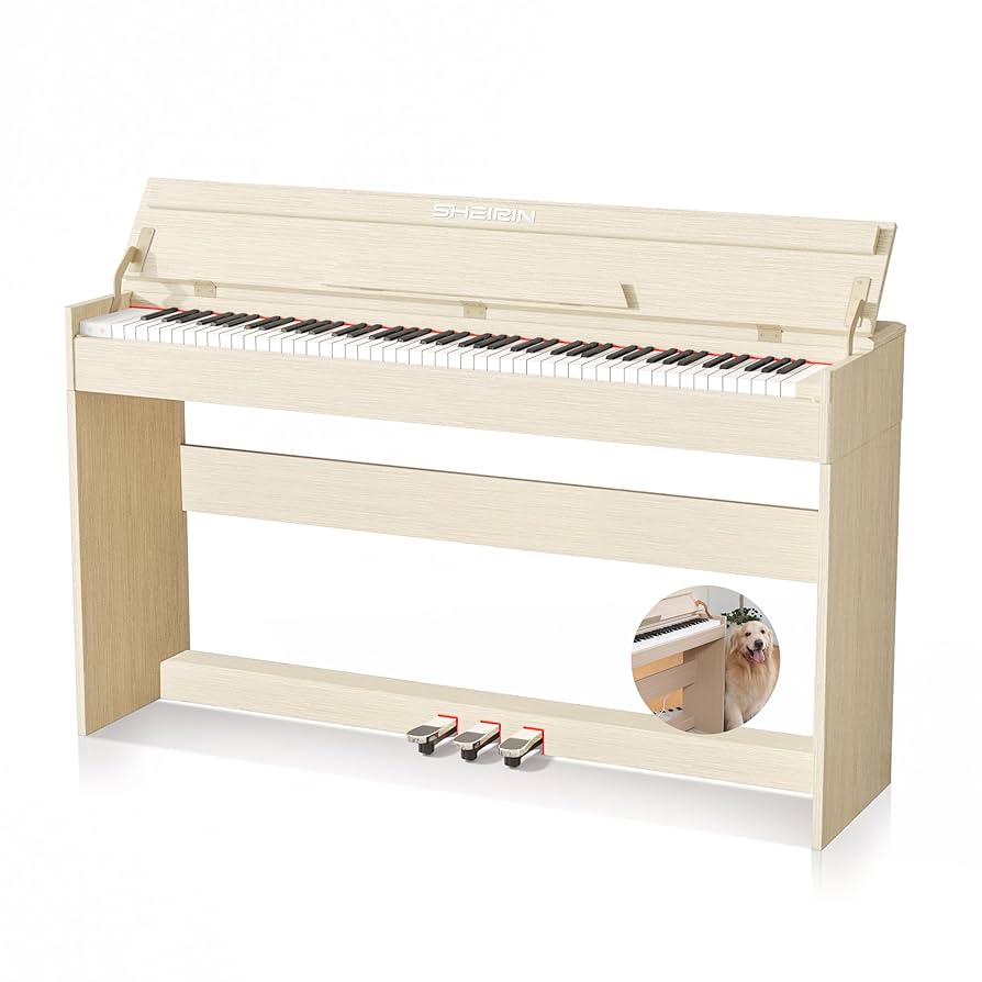 鍵盤楽器 Organ piano with stand Ktaxon 88 Key Weighted Electric Digital Piano Keyboard With